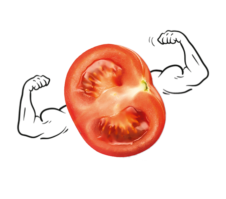 Tomate-Krafttomate-Muskeln-Ohne-Schatten Tomate-Krafttomate-Muskeln-Ohne-Schatten