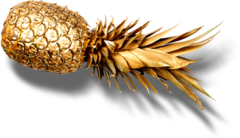 ananas02_desktop ananas02_desktop