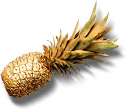 ananas03_desktop ananas03_desktop