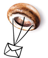 Pilz-Brief Pilz-Brief